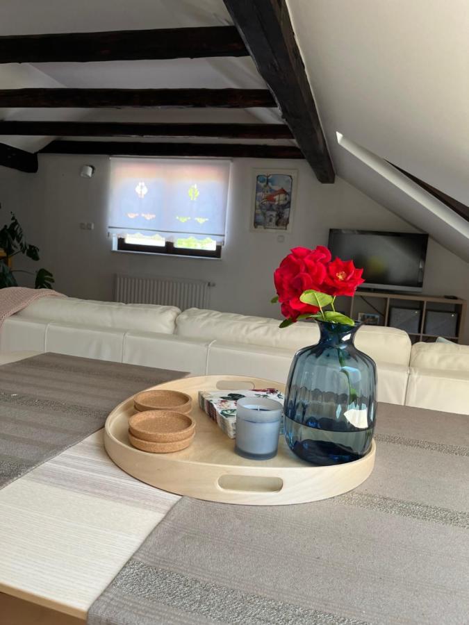 Riverside Villa Avo - Apartment Sara Spodnja Idrija Eksteriør billede