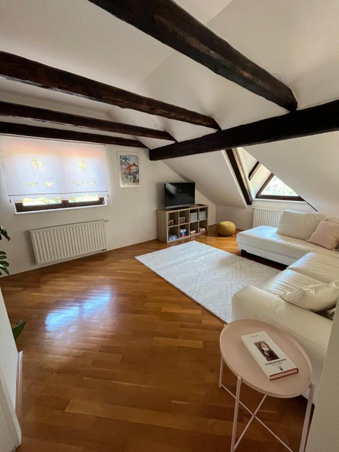 Riverside Villa Avo - Apartment Sara Spodnja Idrija Eksteriør billede